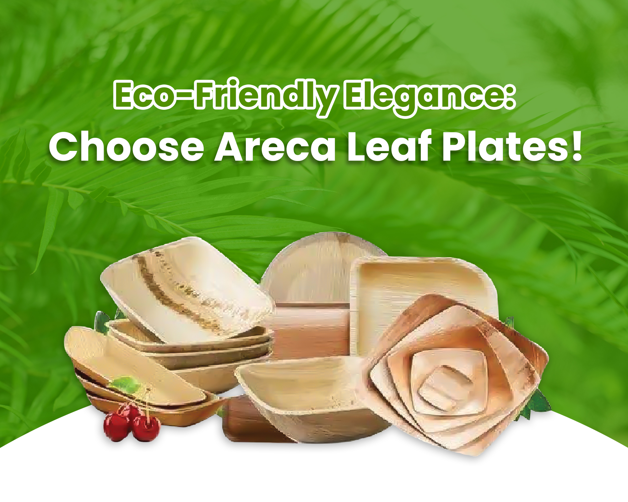 Green Dinnerware - Areca Palm Products for Eco-Friendly Dining