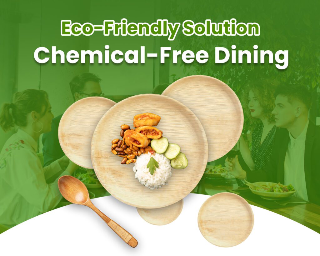 Green Dinnerware - Areca Palm Products for Eco-Friendly Dining