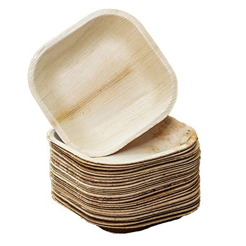 Areca Leaf Plates Manufacturer In India