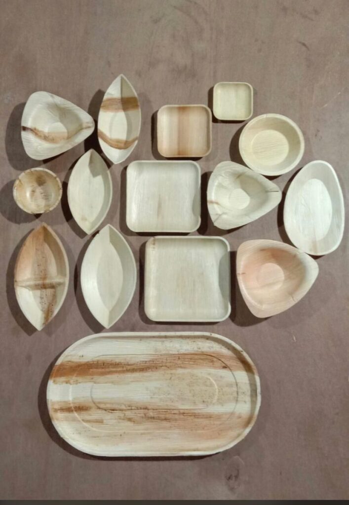 Best Areca Palm Leaf Products in Karnataka