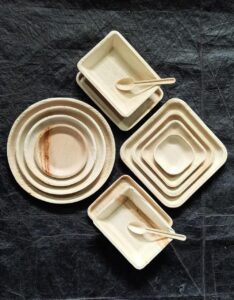 Areca leaf plates manufacturer in India - Get the Top Areca leaf container boxes manufacturer in India. Sustainable, eco-friendly, and durable solutions from Mangalore.