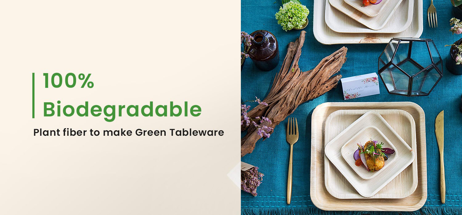 drf-banner1-1-r4oaet3cvlf79qykiqqsjky666k6wkagvw7jwibzh4